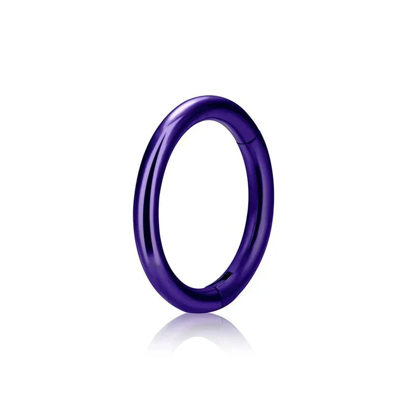 Hoop nose piercing red green purple blue ear piercing lip piercing titanium hinged segment clicker 16G 18G 20G