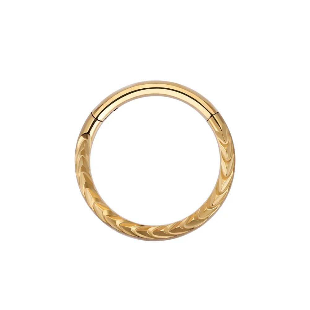 Titanium daith ring with braided inlay in gold and silver 16G septum clicker ring