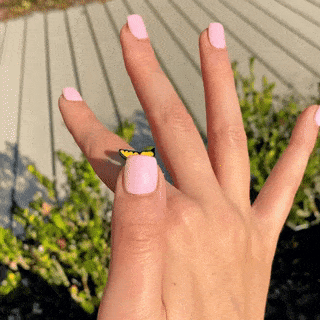Butterfly anxiety ring