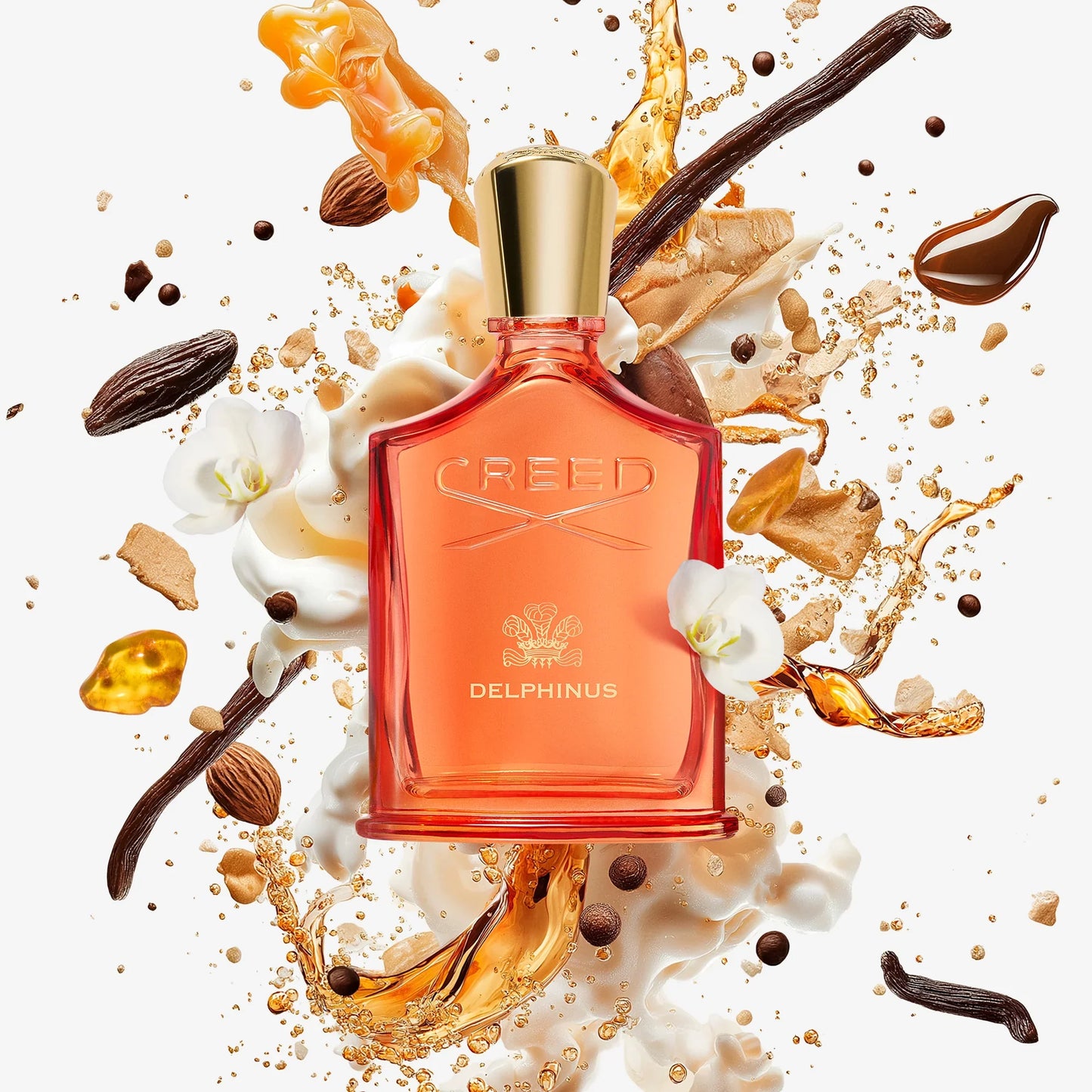 Creed Delphinus 100ML